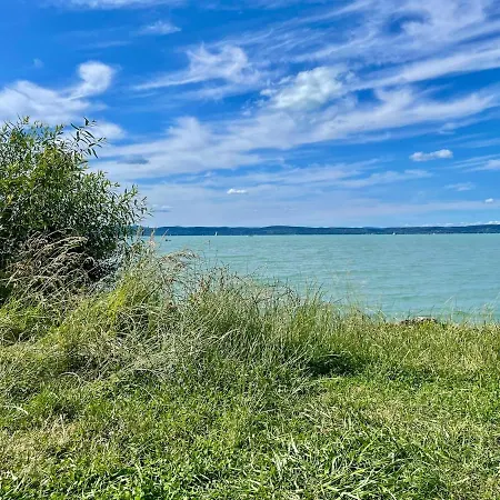 Vintage House Appartamento