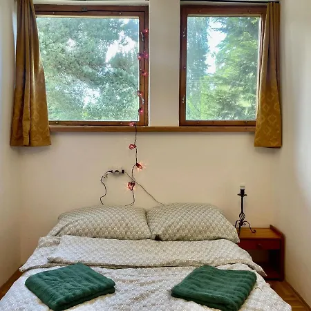 Apartman Vintage House *
